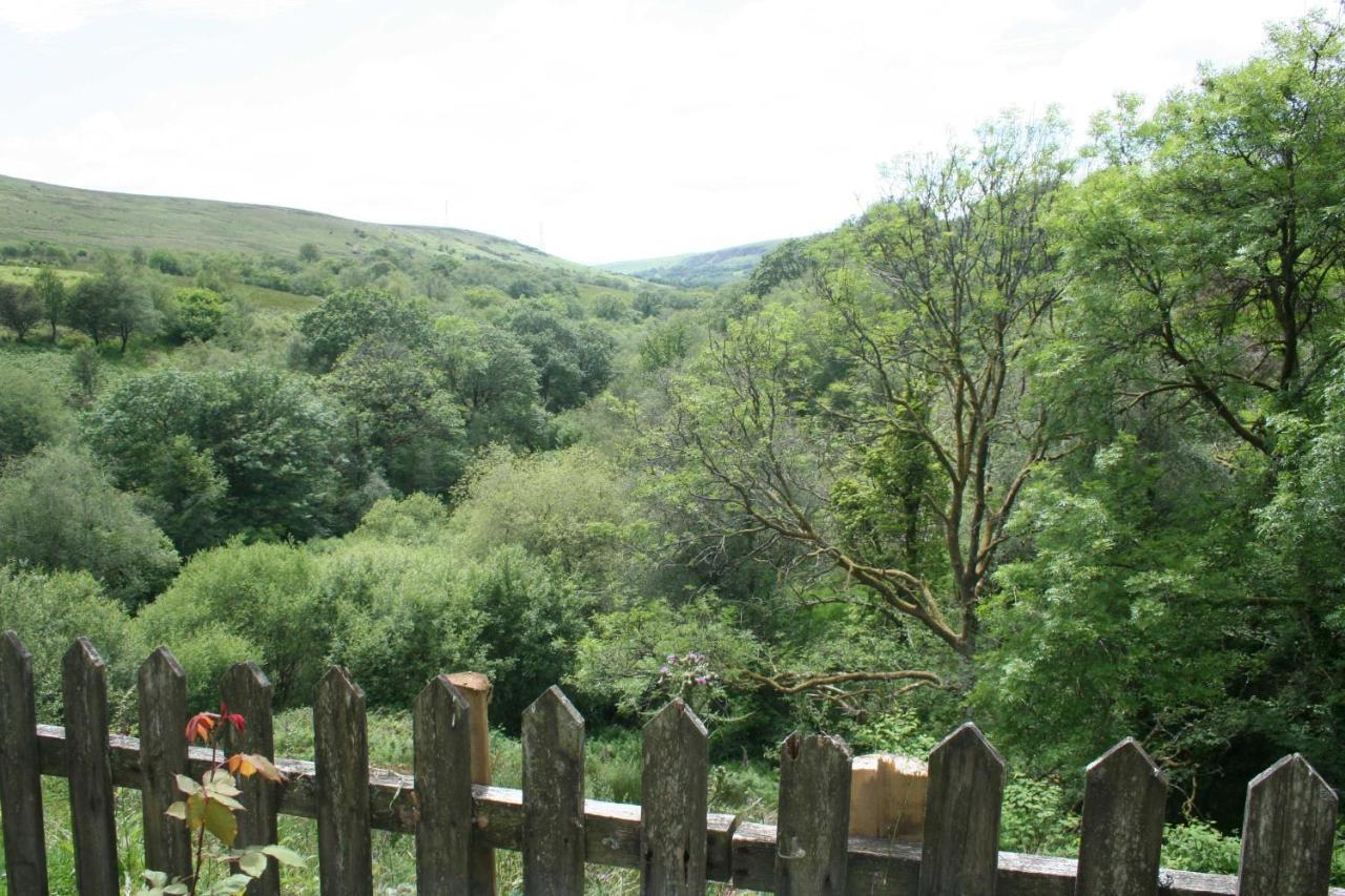 The Nook - Farm Park Stay With Hot Tub & Dome Swansea Exterior photo