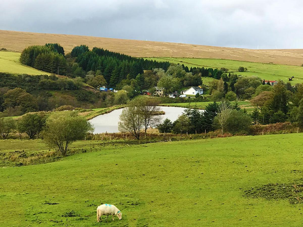 The Nook - Farm Park Stay With Hot Tub & Dome Swansea Exterior photo